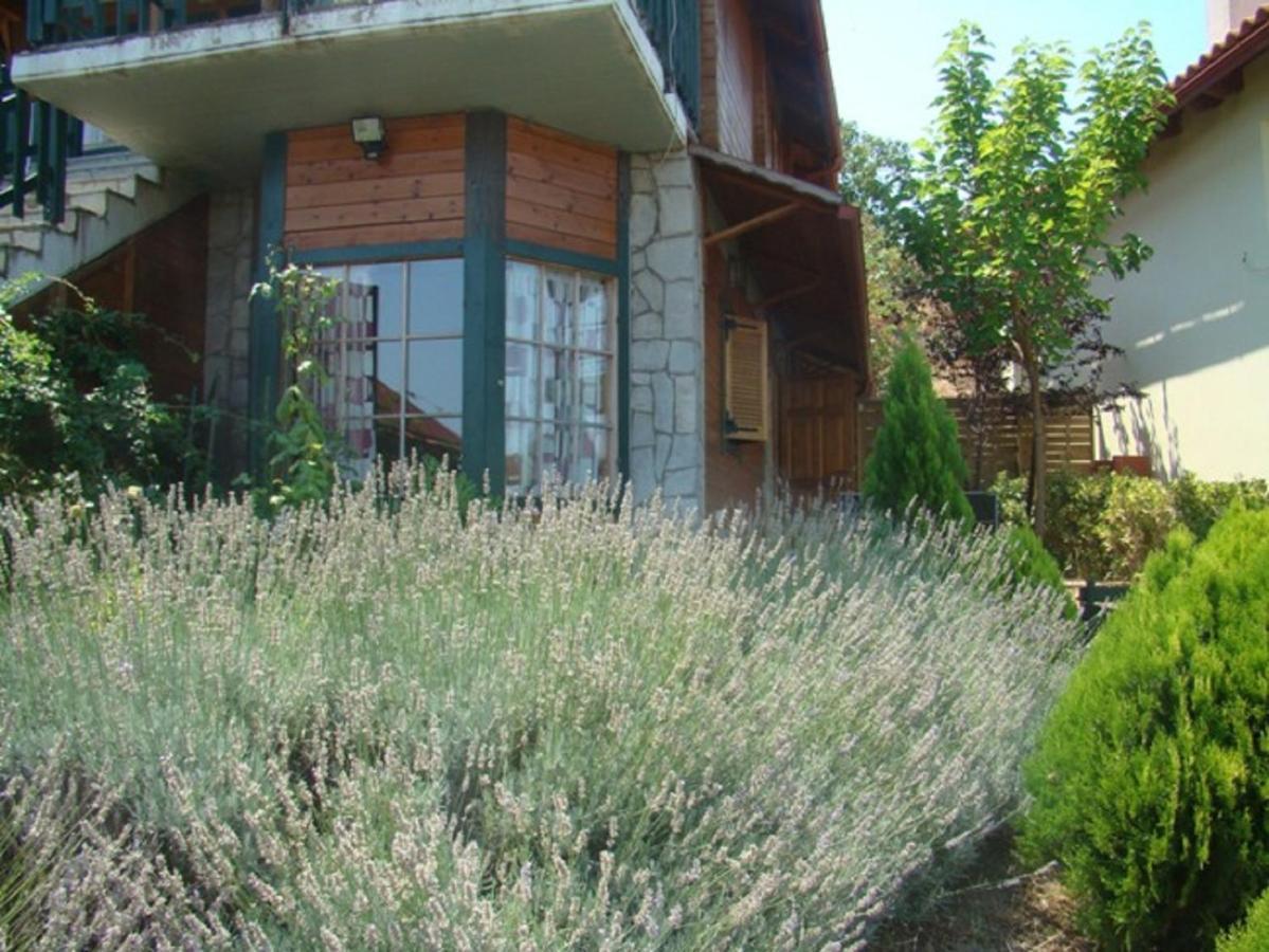 Zeus-Village Οικισμός Φινλανδικών Chalet Με Πισίνες & Γυμναστήριο Molos  Quarto foto